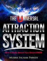 The Universal Attraction System cover